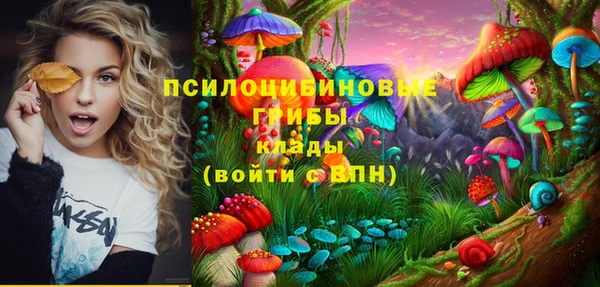 кокс Арсеньев