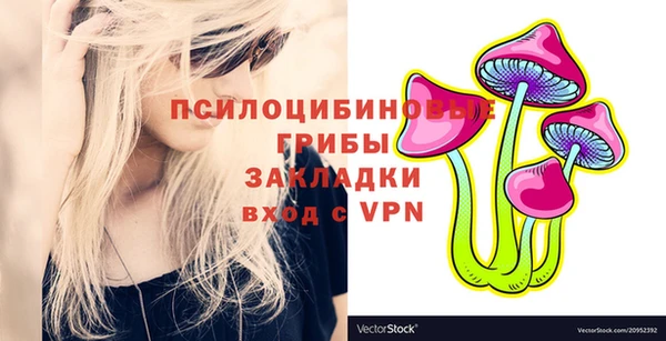 кокс Арсеньев