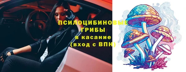 кокс Арсеньев